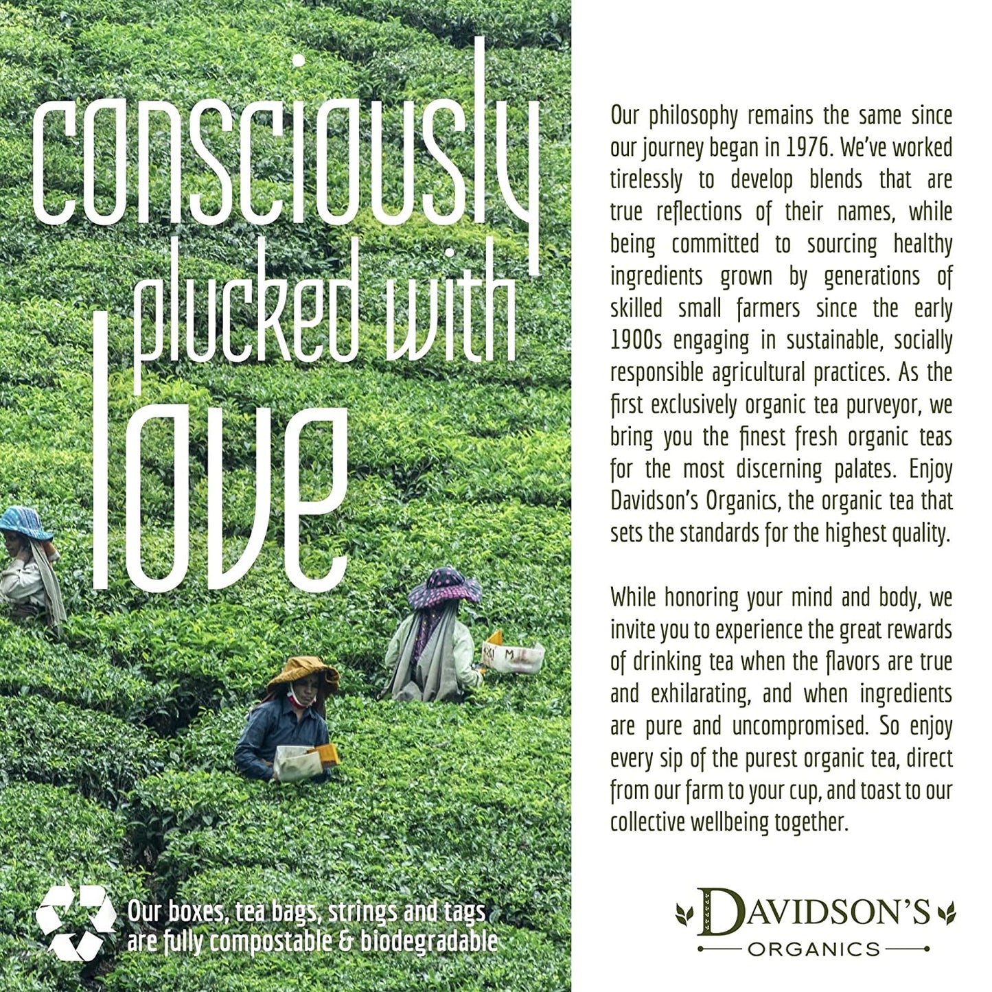 Davidson'S Organics, South African Green Rooibos, Loose Leaf Tea, 16-Ounce Bag